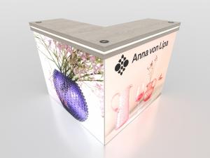 MODDE-1738 Custom Counter
